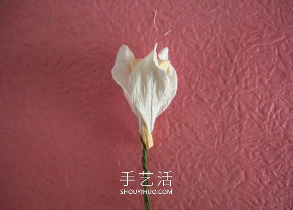簡單自制皺紋紙水仙花的方法圖解教程 -  rpnrmr.com