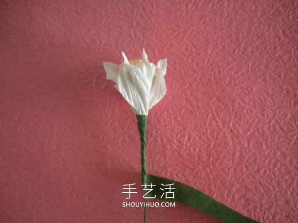 簡單自制皺紋紙水仙花的方法圖解教程 -  rpnrmr.com