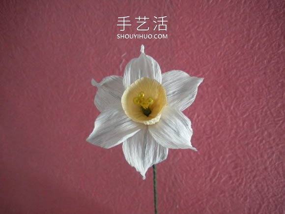 簡單自制皺紋紙水仙花的方法圖解教程 -  rpnrmr.com