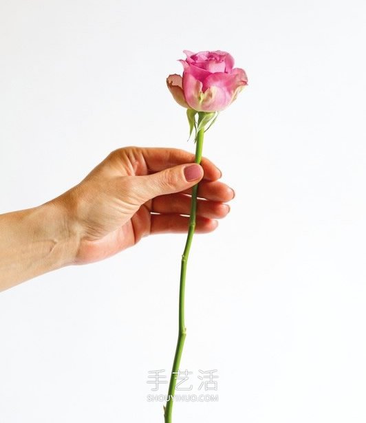 鮮花手工制作婚禮手捧花的做法教程 -  rpnrmr.com
