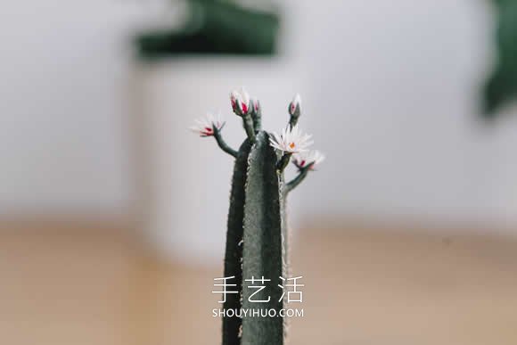 可以用兩根手指夾住的驚人手工紙藝盆栽作品 -  rpnrmr.com