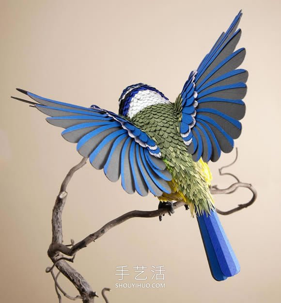 藝術(shù)家用4000張紙雕塑出逼真的鳥類和蝴蝶 -  rpnrmr.com