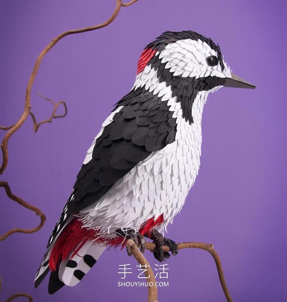 藝術(shù)家用4000張紙雕塑出逼真的鳥類和蝴蝶 -  rpnrmr.com