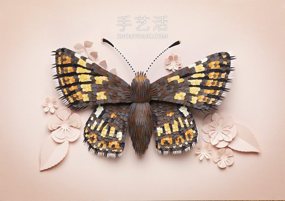 藝術(shù)家用4000張紙雕塑出逼真的鳥類和蝴蝶 -  rpnrmr.com