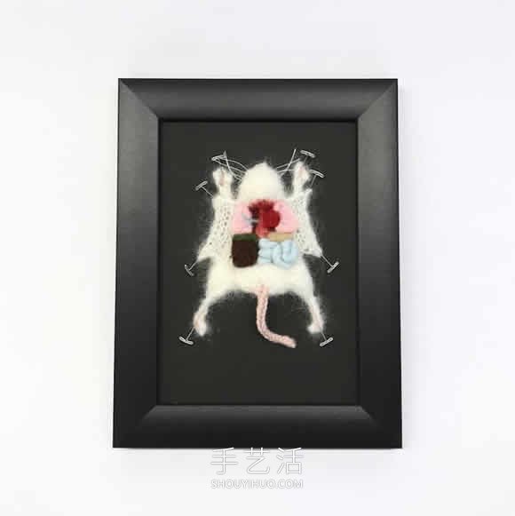 動(dòng)物解剖針織作品！將解剖場(chǎng)面變成可愛展示 -  rpnrmr.com