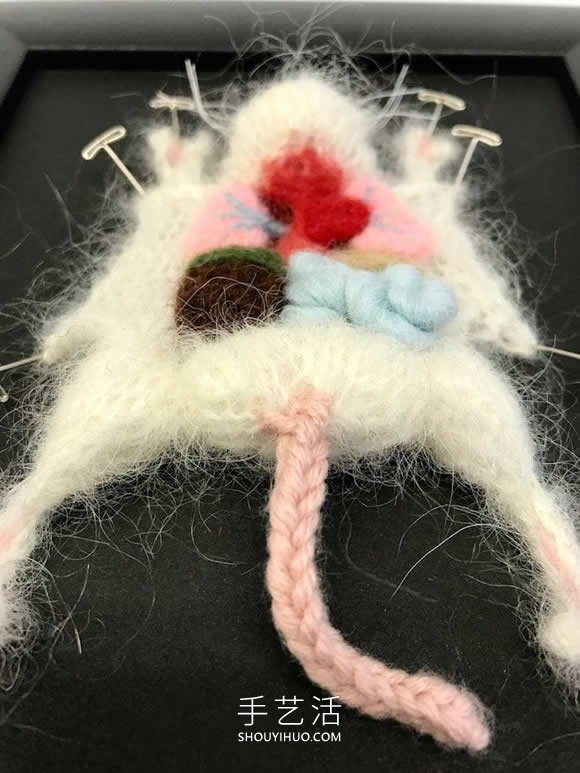 動(dòng)物解剖針織作品！將解剖場(chǎng)面變成可愛展示 -  rpnrmr.com