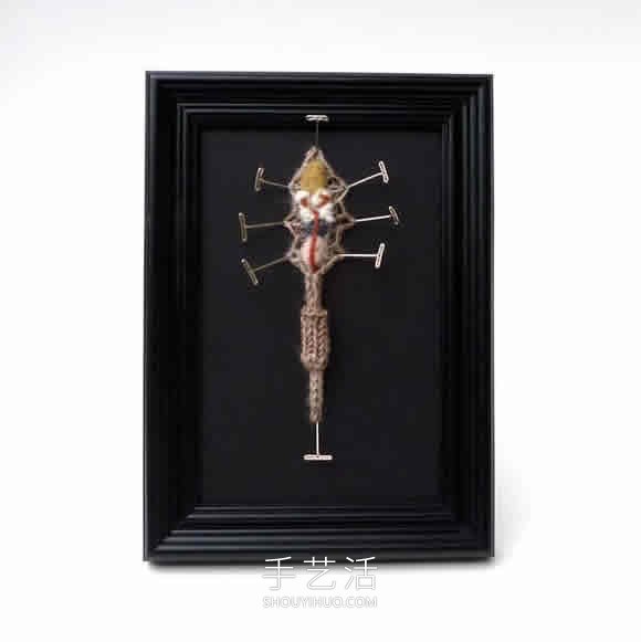 動(dòng)物解剖針織作品！將解剖場(chǎng)面變成可愛展示 -  rpnrmr.com