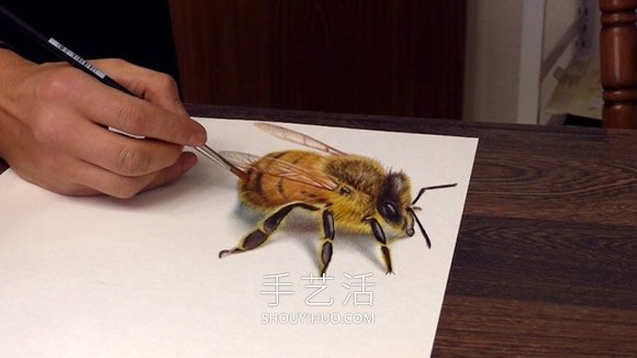 這位藝術(shù)家創(chuàng)作虛幻深度3D繪畫令人難以置信 -  rpnrmr.com