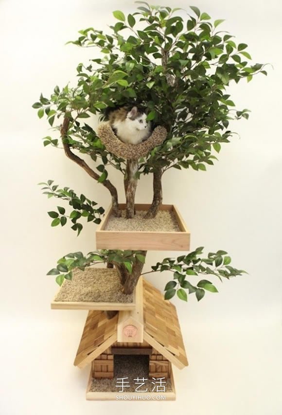 為貓?zhí)峁┍普鎽敉怏w驗！樹木做成的室內(nèi)樹屋 -  rpnrmr.com