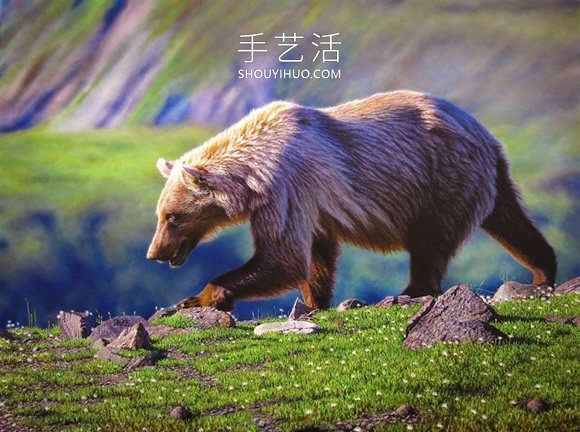 仿佛會躍出畫布！逼真畫作捕捉野生動物之美 -  rpnrmr.com