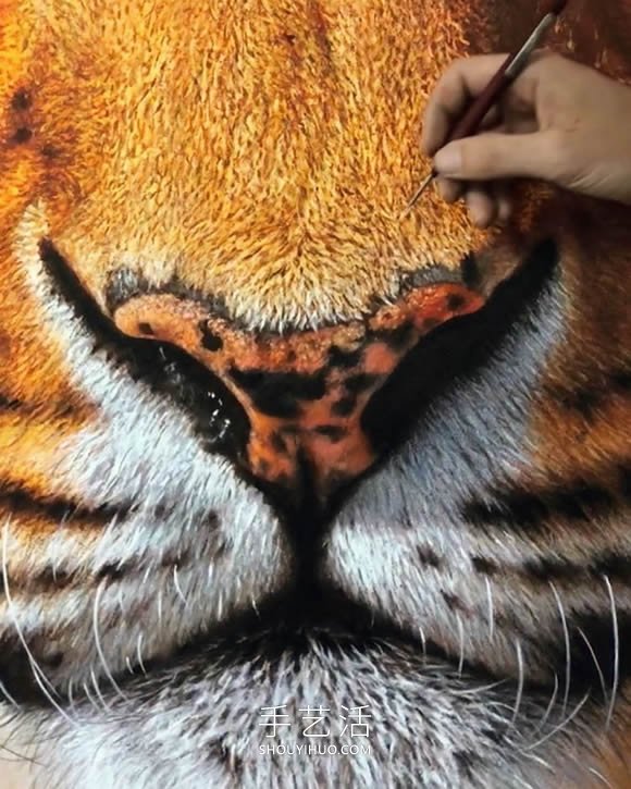 仿佛會躍出畫布！逼真畫作捕捉野生動物之美 -  rpnrmr.com