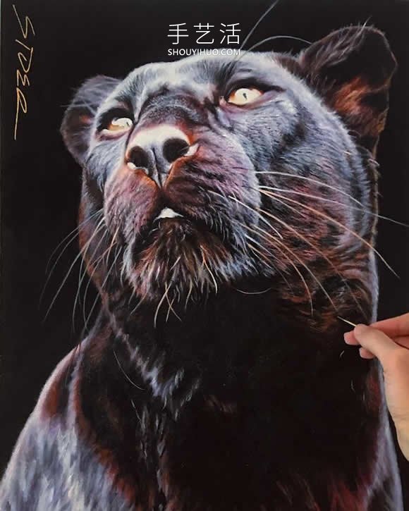 仿佛會躍出畫布！逼真畫作捕捉野生動物之美 -  rpnrmr.com