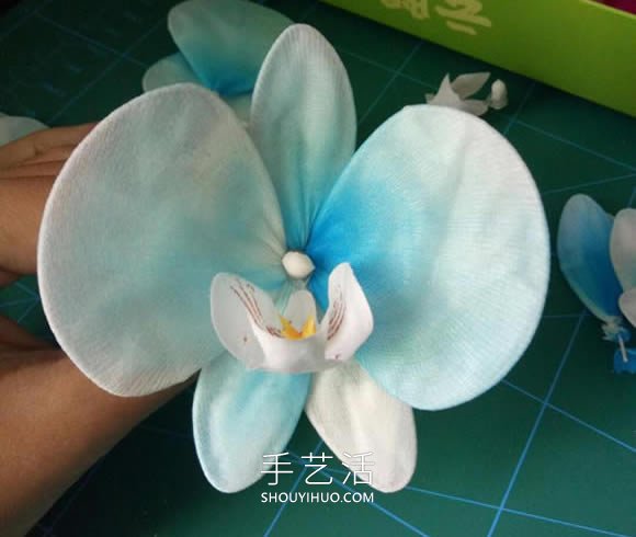 絲網(wǎng)花蝴蝶蘭的制作方法步驟圖解教程 -  rpnrmr.com