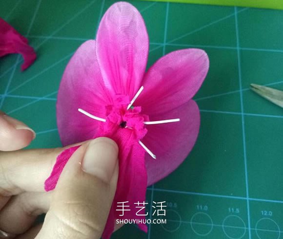 絲網(wǎng)花蝴蝶蘭的制作方法步驟圖解教程 -  rpnrmr.com