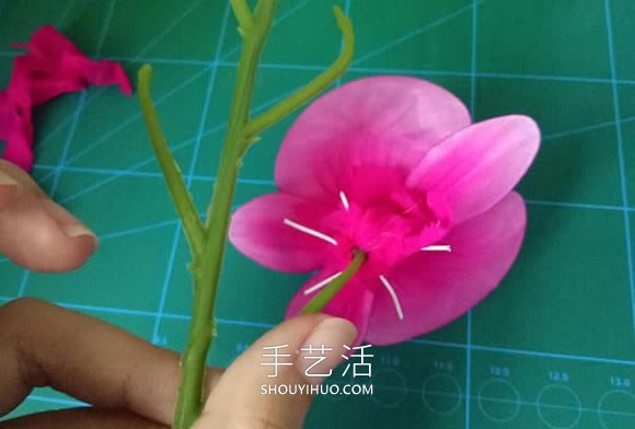 絲網(wǎng)花蝴蝶蘭的制作方法步驟圖解教程 -  rpnrmr.com