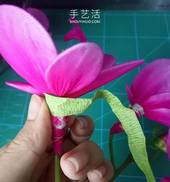 絲網(wǎng)花蝴蝶蘭的制作方法步驟圖解教程 -  rpnrmr.com