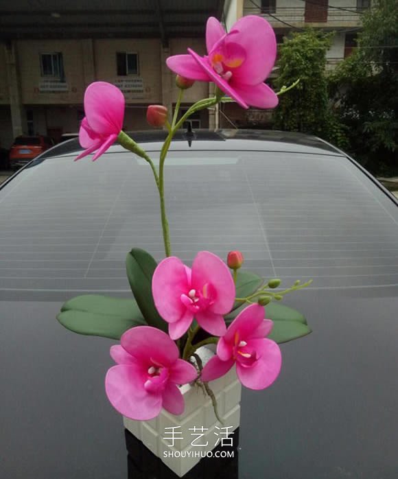 絲網(wǎng)花蝴蝶蘭的制作方法步驟圖解教程 -  rpnrmr.com