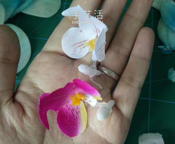 絲網(wǎng)花蝴蝶蘭的制作方法步驟圖解教程 -  rpnrmr.com