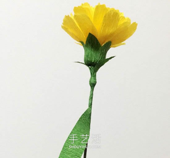 康乃馨皺紋紙花的手工制作方法圖解教程 -  rpnrmr.com