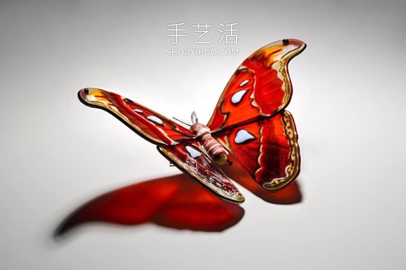 逼真蝴蝶玻璃雕塑！以瀕臨滅絕的蝴蝶為原型 -  rpnrmr.com