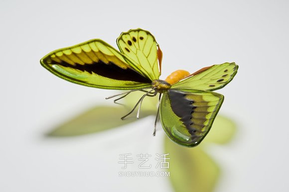 逼真蝴蝶玻璃雕塑！以瀕臨滅絕的蝴蝶為原型 -  rpnrmr.com