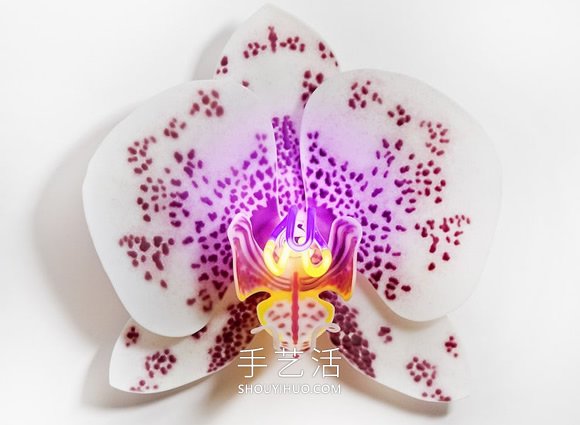 由玻璃制成的發(fā)光蘭花雕塑藝術品 -  rpnrmr.com