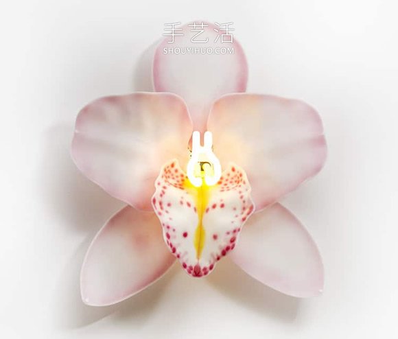 由玻璃制成的發(fā)光蘭花雕塑藝術品 -  rpnrmr.com