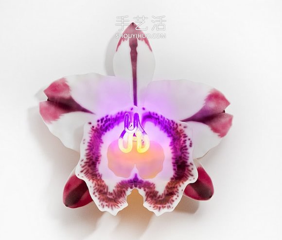 由玻璃制成的發(fā)光蘭花雕塑藝術品 -  rpnrmr.com
