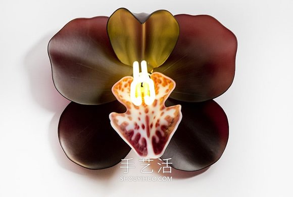 由玻璃制成的發(fā)光蘭花雕塑藝術品 -  rpnrmr.com