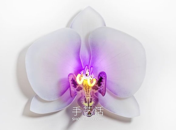 由玻璃制成的發(fā)光蘭花雕塑藝術品 -  rpnrmr.com