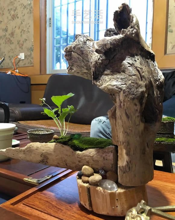 枯木做盆景的造型制作方法 -  rpnrmr.com
