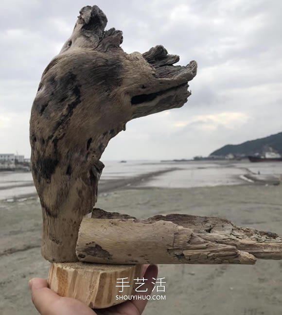 枯木做盆景的造型制作方法 -  rpnrmr.com