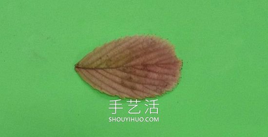 樹(shù)葉貼麻雀的制作方法圖片教程 -  rpnrmr.com