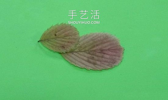 樹(shù)葉貼麻雀的制作方法圖片教程 -  rpnrmr.com