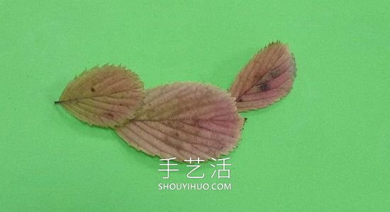 樹(shù)葉貼麻雀的制作方法圖片教程 -  rpnrmr.com