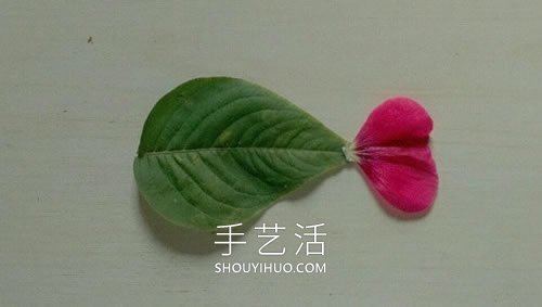 樹葉花瓣粘貼畫金魚圖片簡(jiǎn)單又漂亮 -  rpnrmr.com