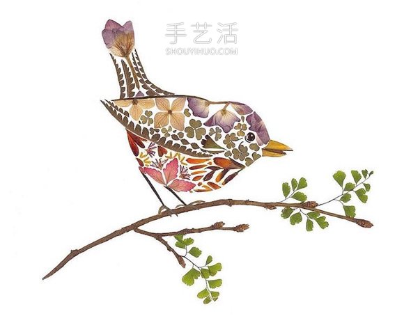 用壓制的花朵和葉子創(chuàng)作精美的動(dòng)物插圖 -  rpnrmr.com