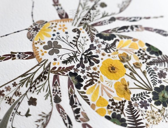 用壓制的花朵和葉子創(chuàng)作精美的動(dòng)物插圖 -  rpnrmr.com