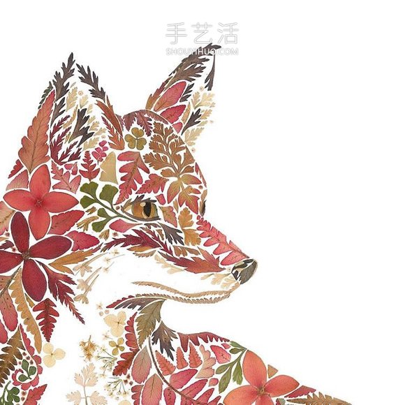 用壓制的花朵和葉子創(chuàng)作精美的動(dòng)物插圖 -  rpnrmr.com