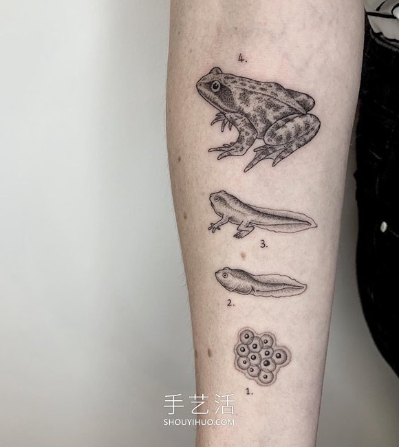 微小的點和細線組合，超現(xiàn)實主義紋身作品賞 -  rpnrmr.com