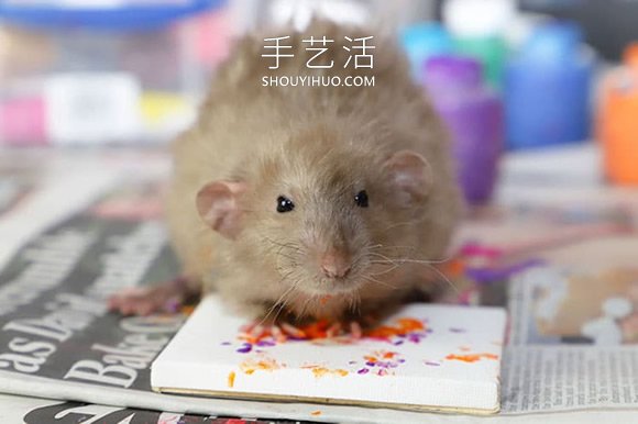 才華橫溢的老鼠創(chuàng)作的微型畫，被搶購一空！ -  rpnrmr.com