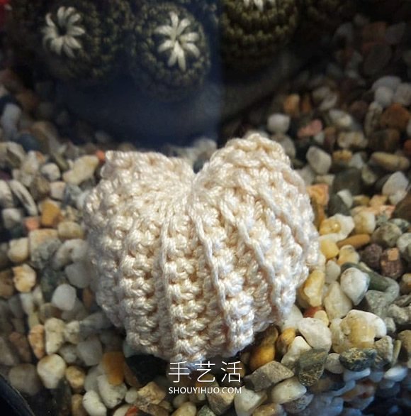 她鉤織海洋生物，制作出一個(gè)逼真的水族館 -  rpnrmr.com