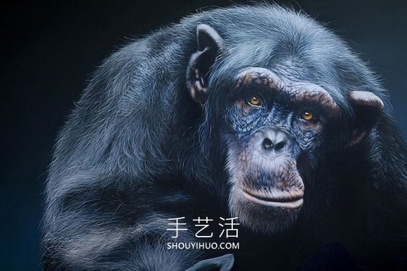 超寫實(shí)的油畫，捕捉野生動(dòng)物的野性自然之美 -  rpnrmr.com