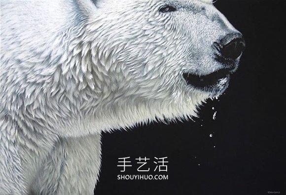 超寫實(shí)的油畫，捕捉野生動(dòng)物的野性自然之美 -  rpnrmr.com