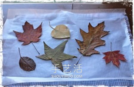 秋天落葉手工制作中秋節(jié)燈籠的做法 -  rpnrmr.com