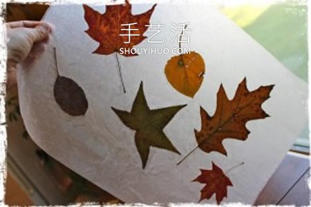 秋天落葉手工制作中秋節(jié)燈籠的做法 -  rpnrmr.com