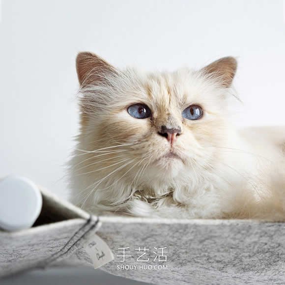 極簡(jiǎn)吊床式貓床 Swing，完全可以自己DIY！ -  rpnrmr.com