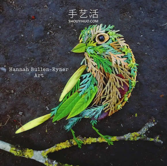 在森林中搜尋花朵和葉子，創(chuàng)作出精美鳥類肖像 -  rpnrmr.com