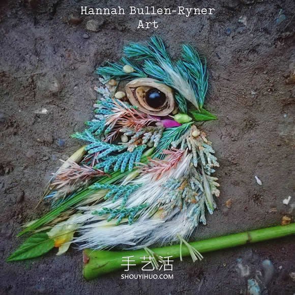 在森林中搜尋花朵和葉子，創(chuàng)作出精美鳥類肖像 -  rpnrmr.com