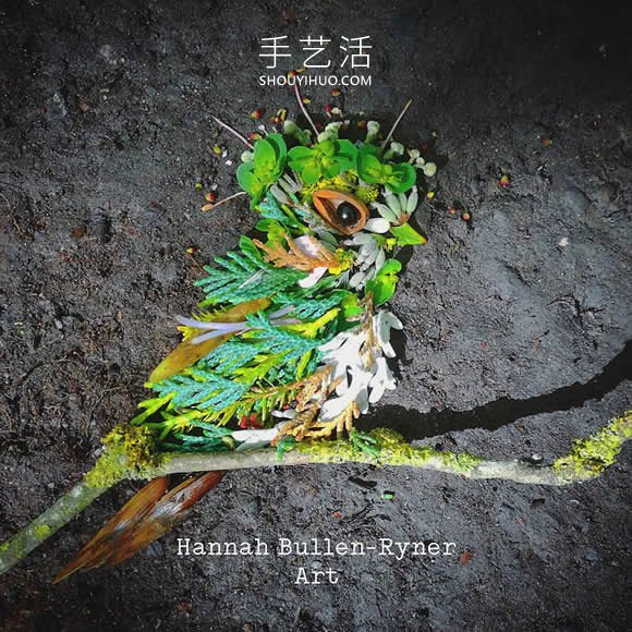 在森林中搜尋花朵和葉子，創(chuàng)作出精美鳥類肖像 -  rpnrmr.com